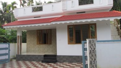 800 Square Feet 2 Bedroom Single Floor Low Budget House and Free Plan