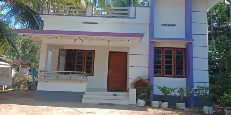 750 Square Feet 2 Bedroom Modern and Beautiful Colorful House and Plan