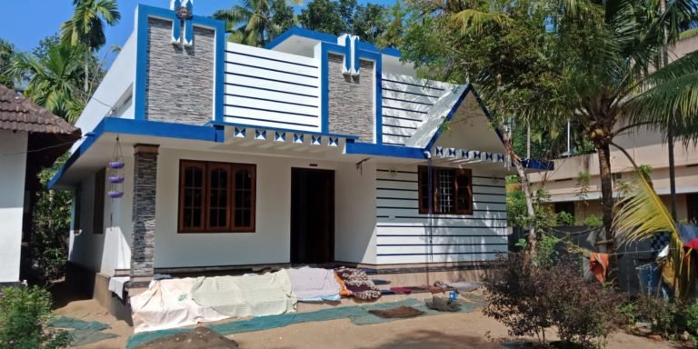 800 Square Feet 2 Bedroom Single Floor Modern Beautiful House and Plan