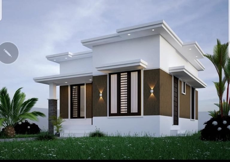 696 Sq Ft 2BHK Modern Single-Storey Beautiful House and Plan