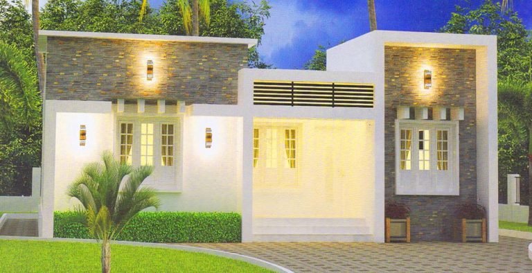 1000 Sq Ft 3BHK Contemporary Single-Storey House and Plan