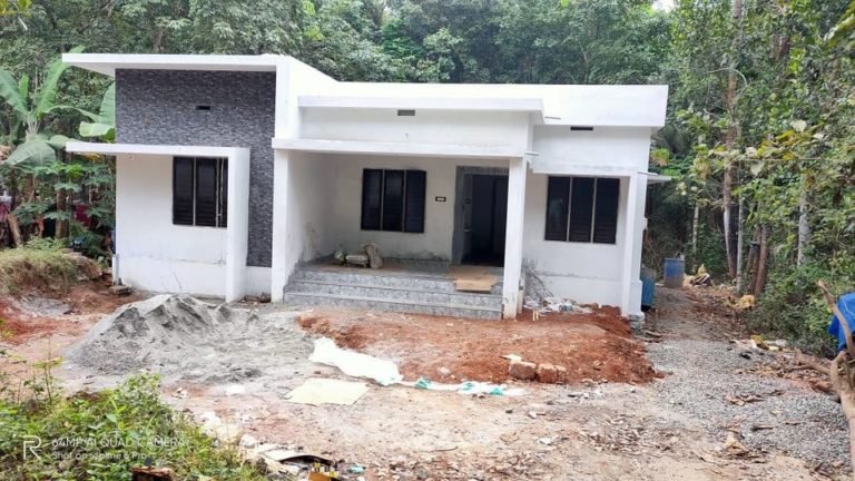 968 Sq Ft 3BHK Modern Single Floor House and Free Plan