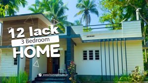868 Sq Ft 3 BHK Home at 10 Cent, Free Plan, 12 Lacks